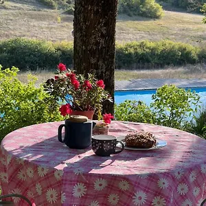 https://la-chambre-du-cantou.midi-pyreneeshotels.com