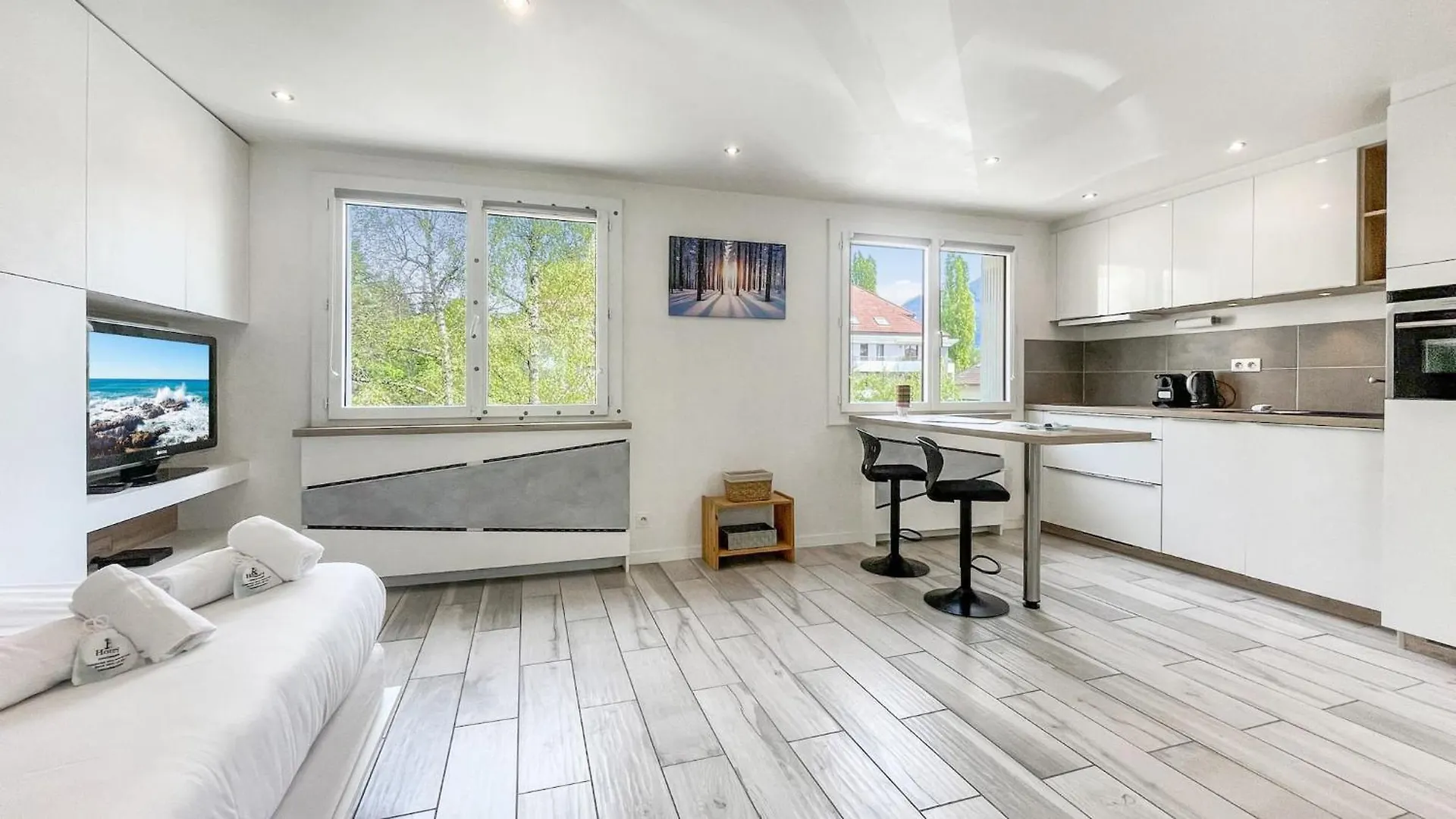 HOMEY TIDY - NEW / Proche Centre Annecy / Parking gratuit / Logement entièrement équipé